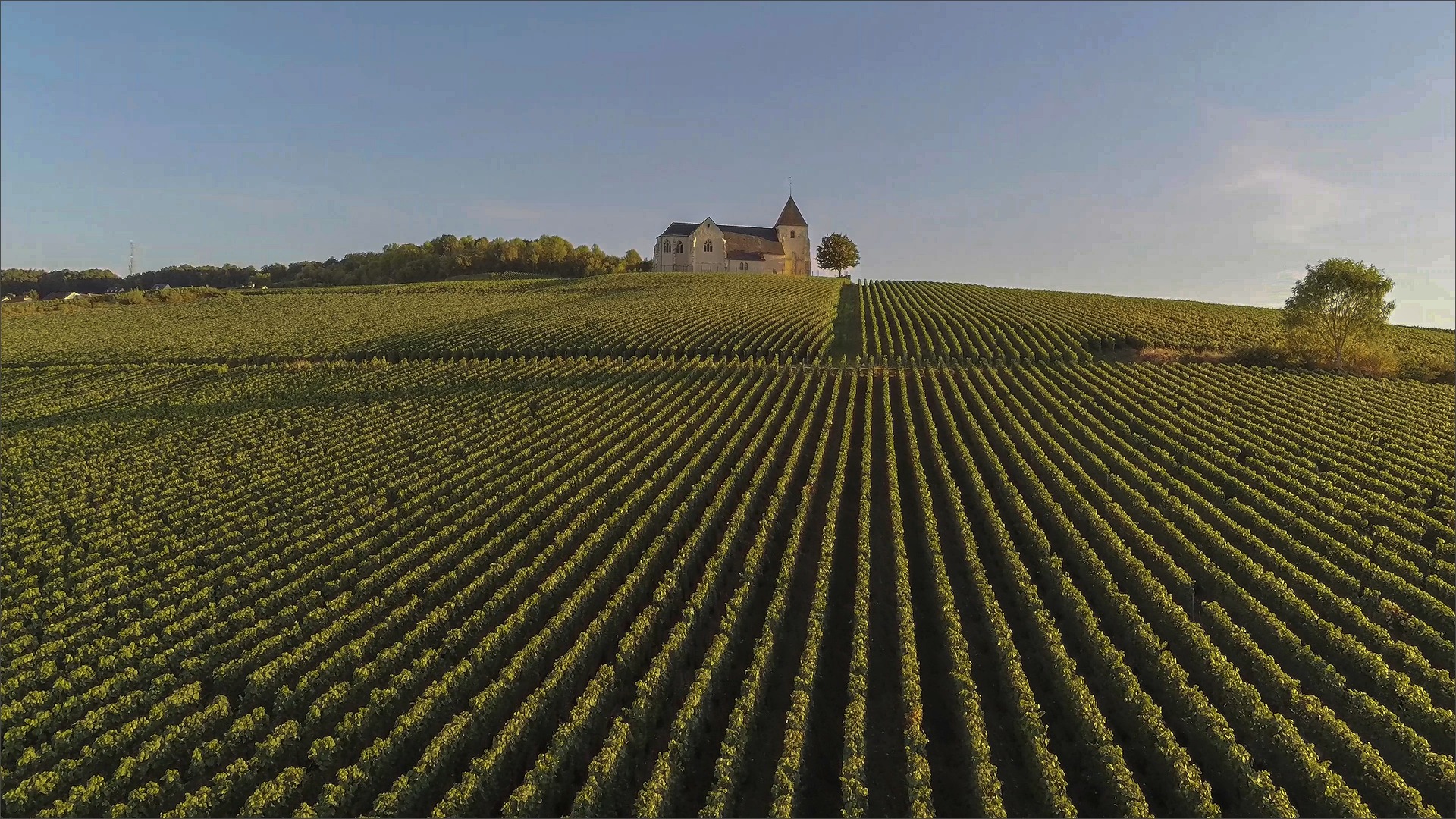 Frankrijk: Reims en de Champagnestreek - Travel Words